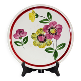 Large dish
