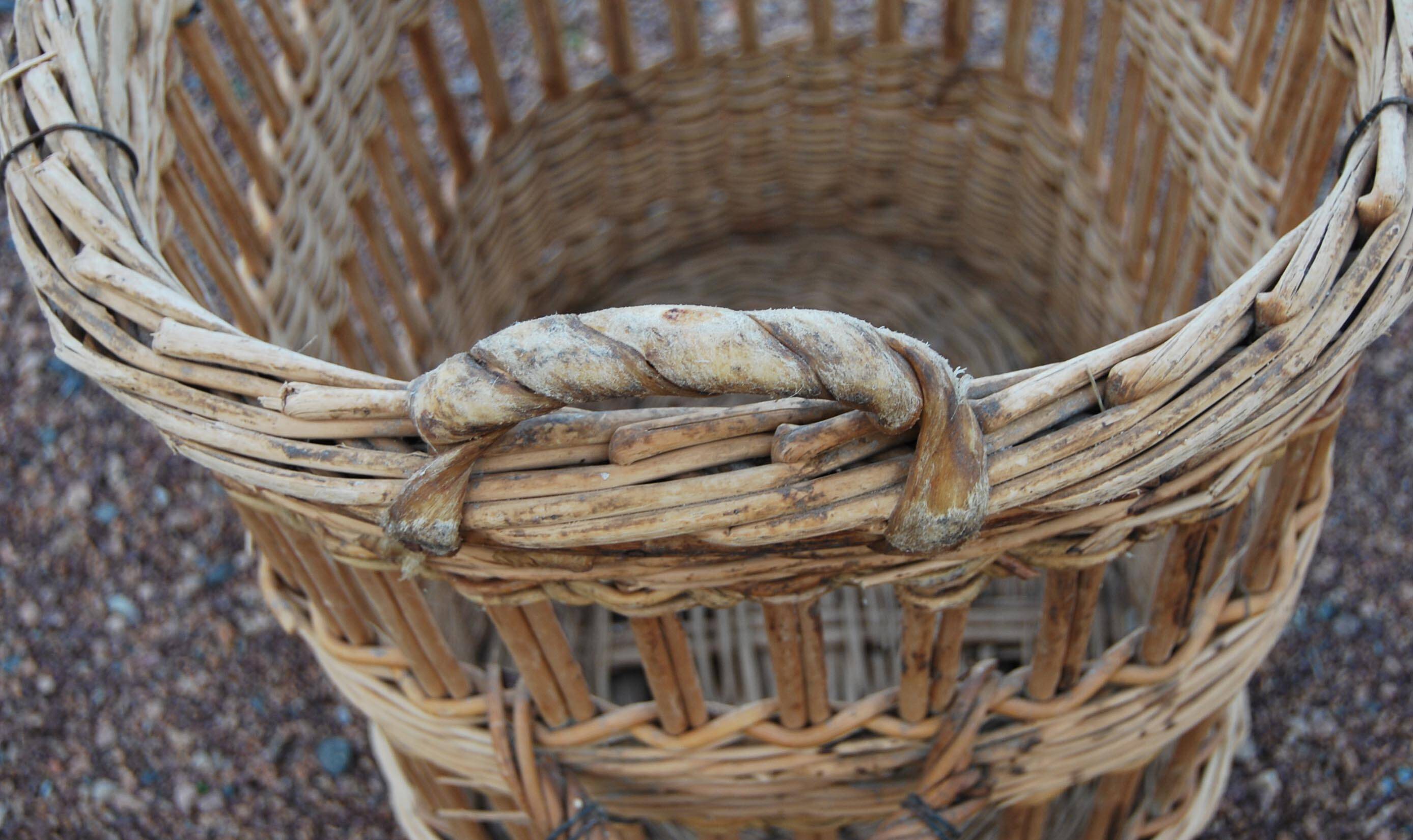 Old and large wicker baker's basket - 1920s-1930s