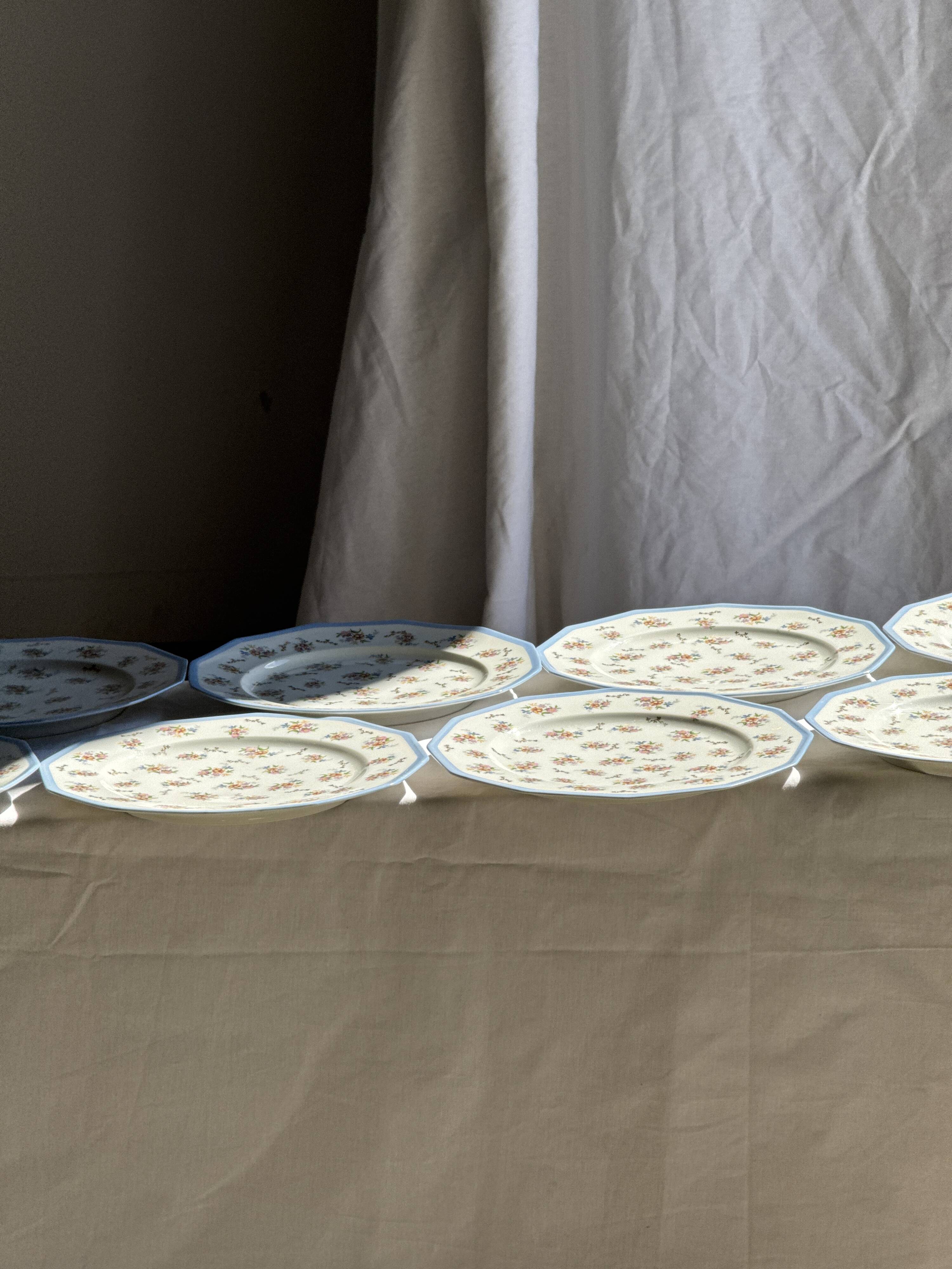 Set of 10 flat plates in Limoges porcelain from France with flowers.