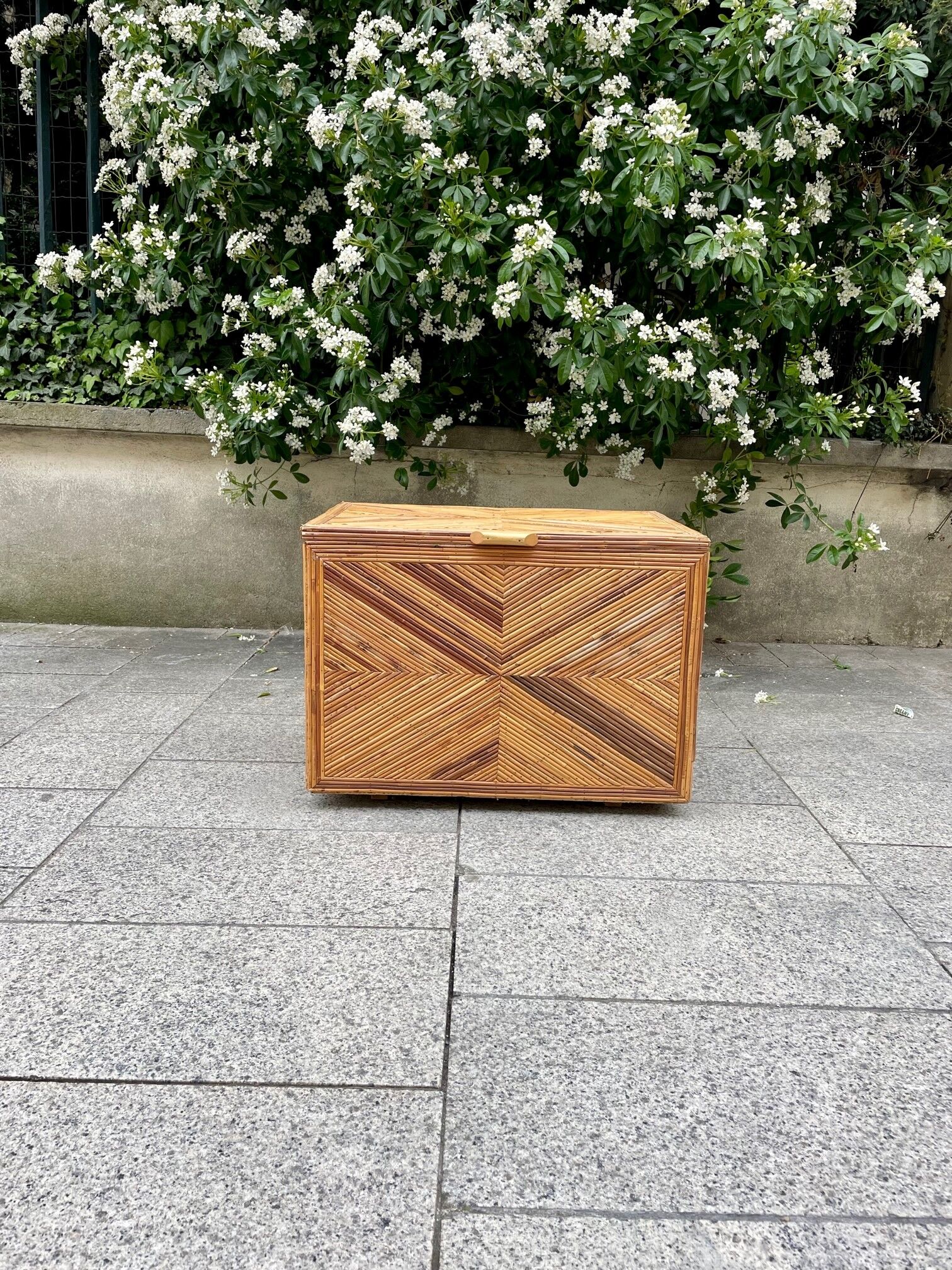 Vintage rattan chest