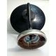 Ancient outdoor swan collar and glass globe sconce