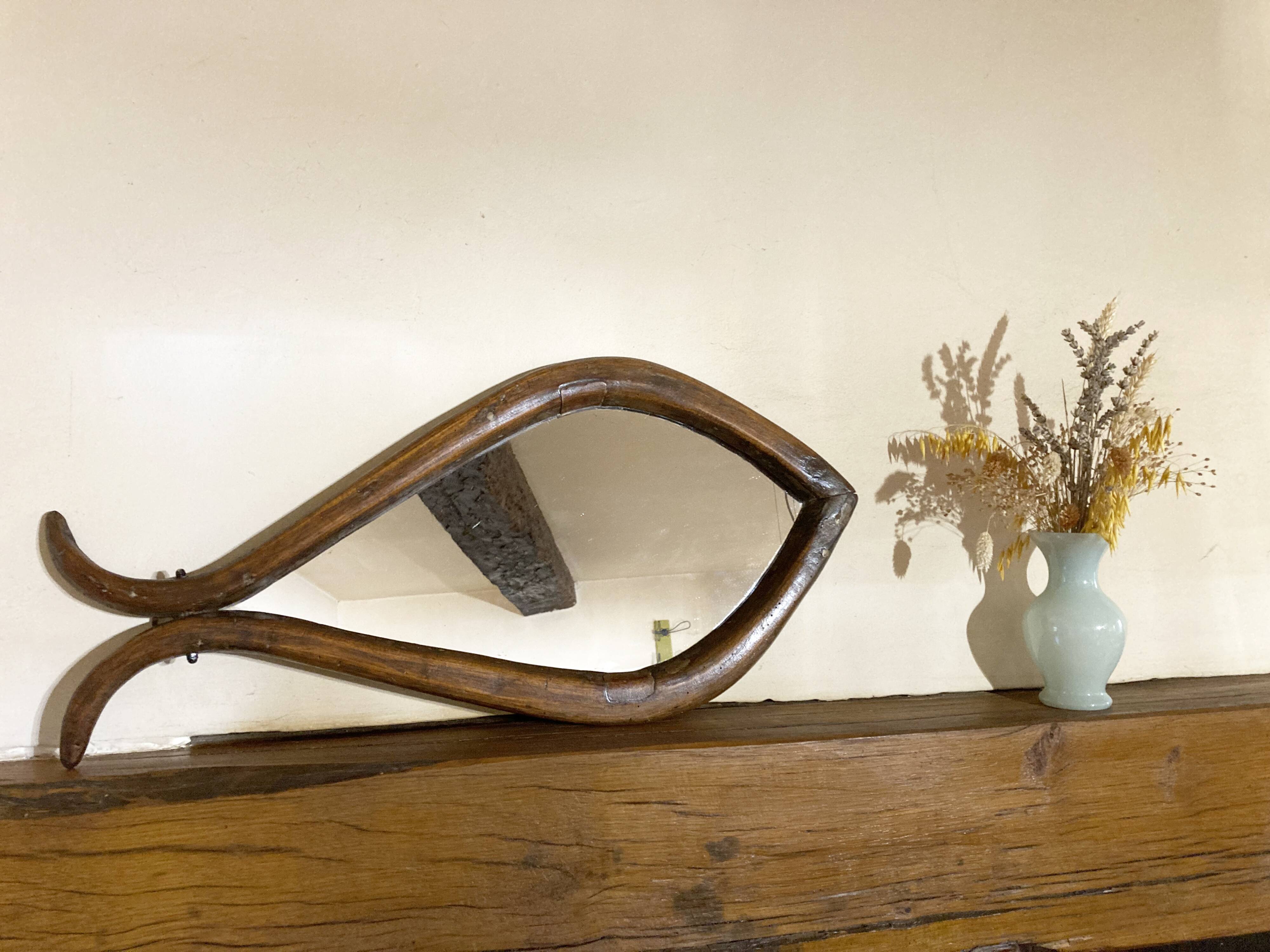 Mirror with fish-shaped wooden frame