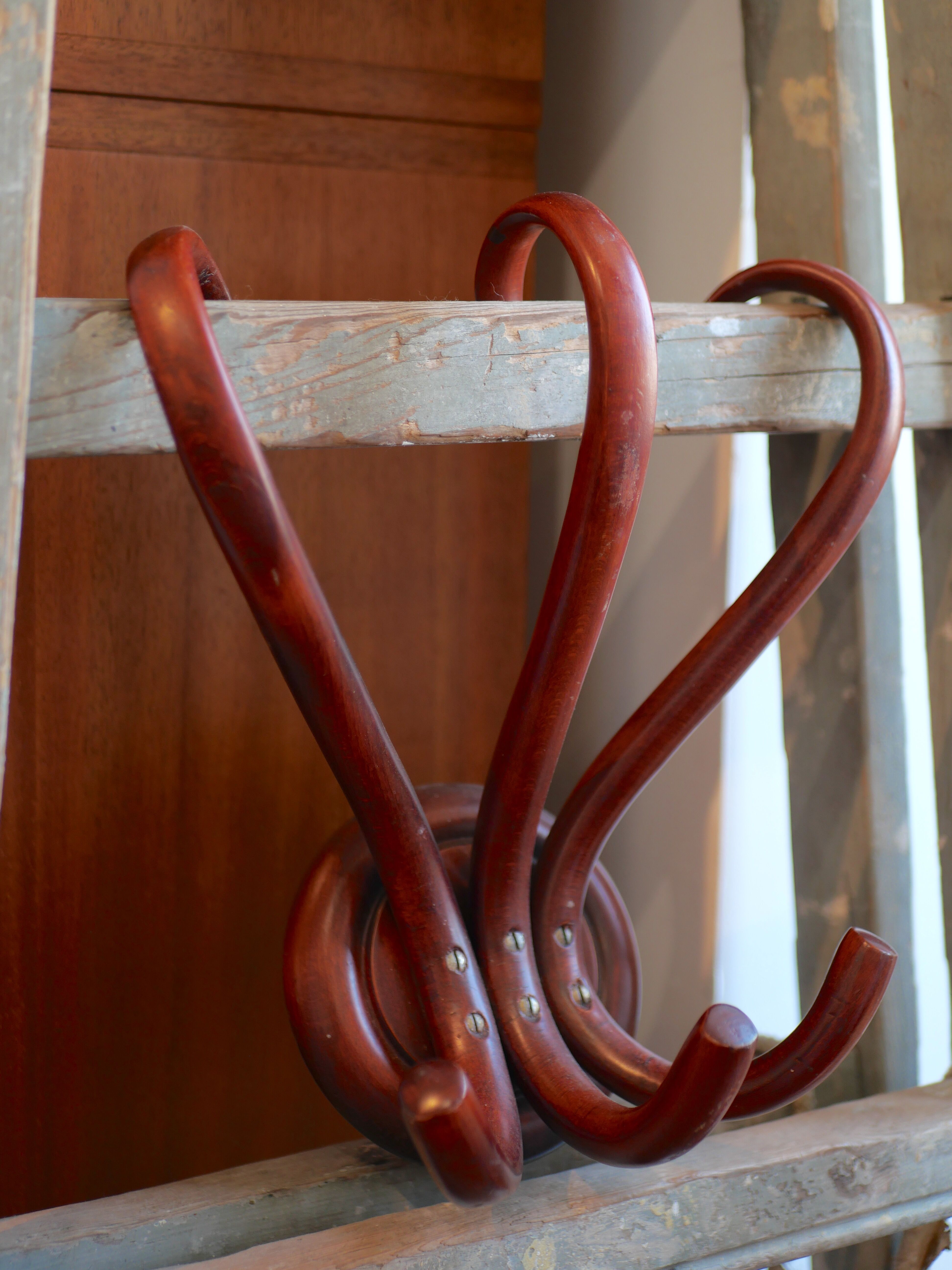 Patère en bois courbé Thonet