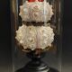 Cabinet of Curiosities globe with sea urchins phyllacanthus imperialis