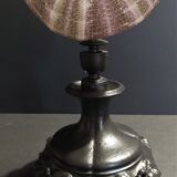 Cabinet of Curiosities sea urchin toxopneustes pileolus on base