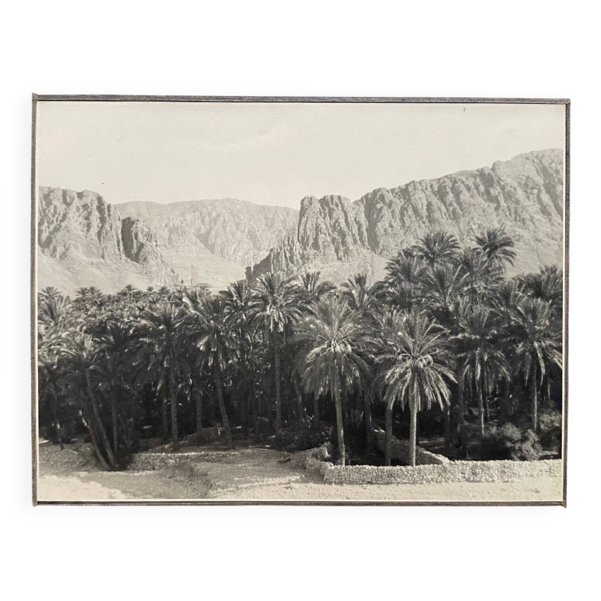 Old photograph collection Algeria Oasis El Kantara Circa 1950