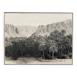 Old photograph collection Algeria Oasis El Kantara Circa 1950