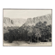 Old photograph collection Algeria Oasis El Kantara Circa 1950