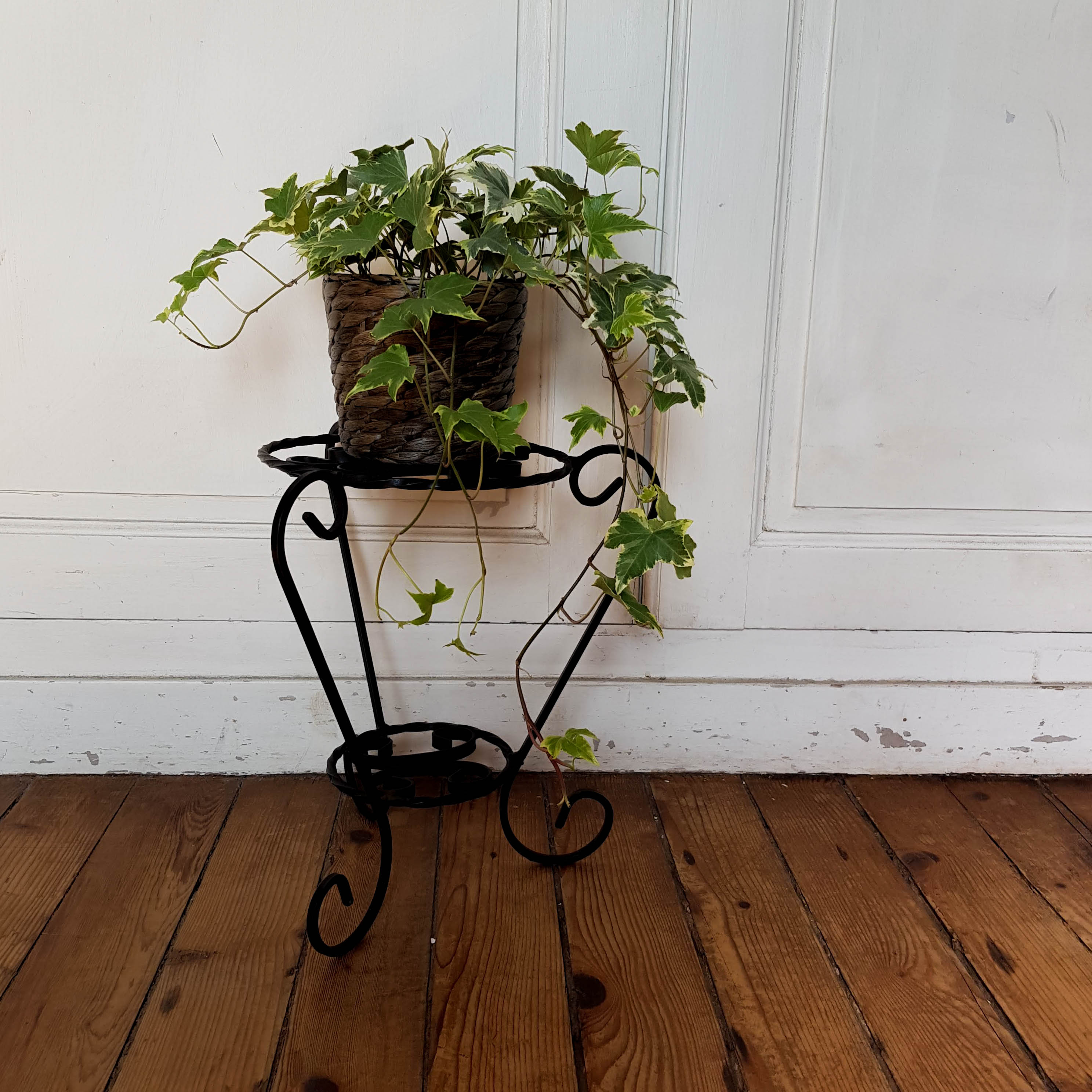 Wrought iron plant holder
