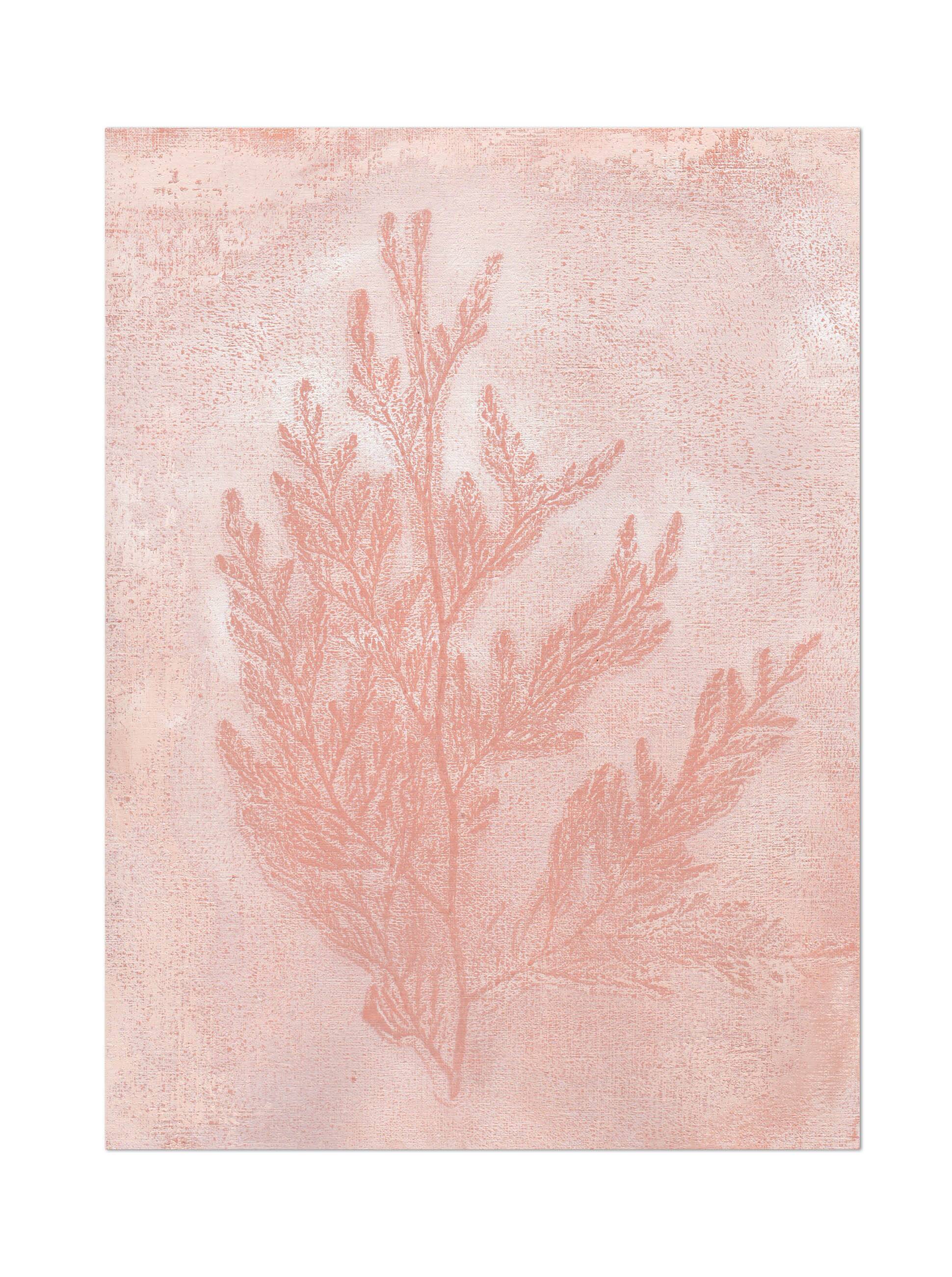 Painting on paper - 30x40cm - herbarium h486 - signed Eawy