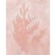 Painting on paper - 30x40cm - herbarium h486 - signed Eawy