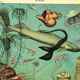 Antique engraving 1897 A. Millot - Ocean and Abyss, deep ocean, fauna