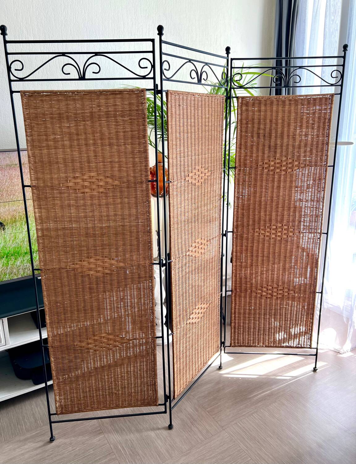 Wrought Iron and Rattan Screen