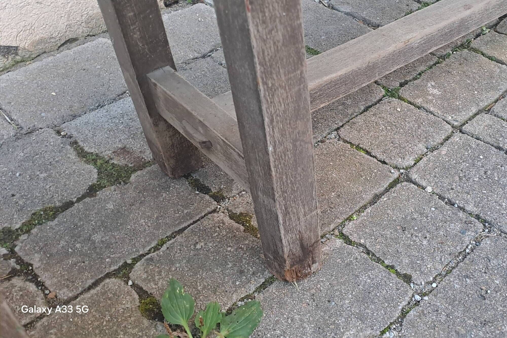 Pair of solid raw wood benches XIX