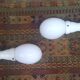 Pair of wall lights from the 1950s in porcelain.