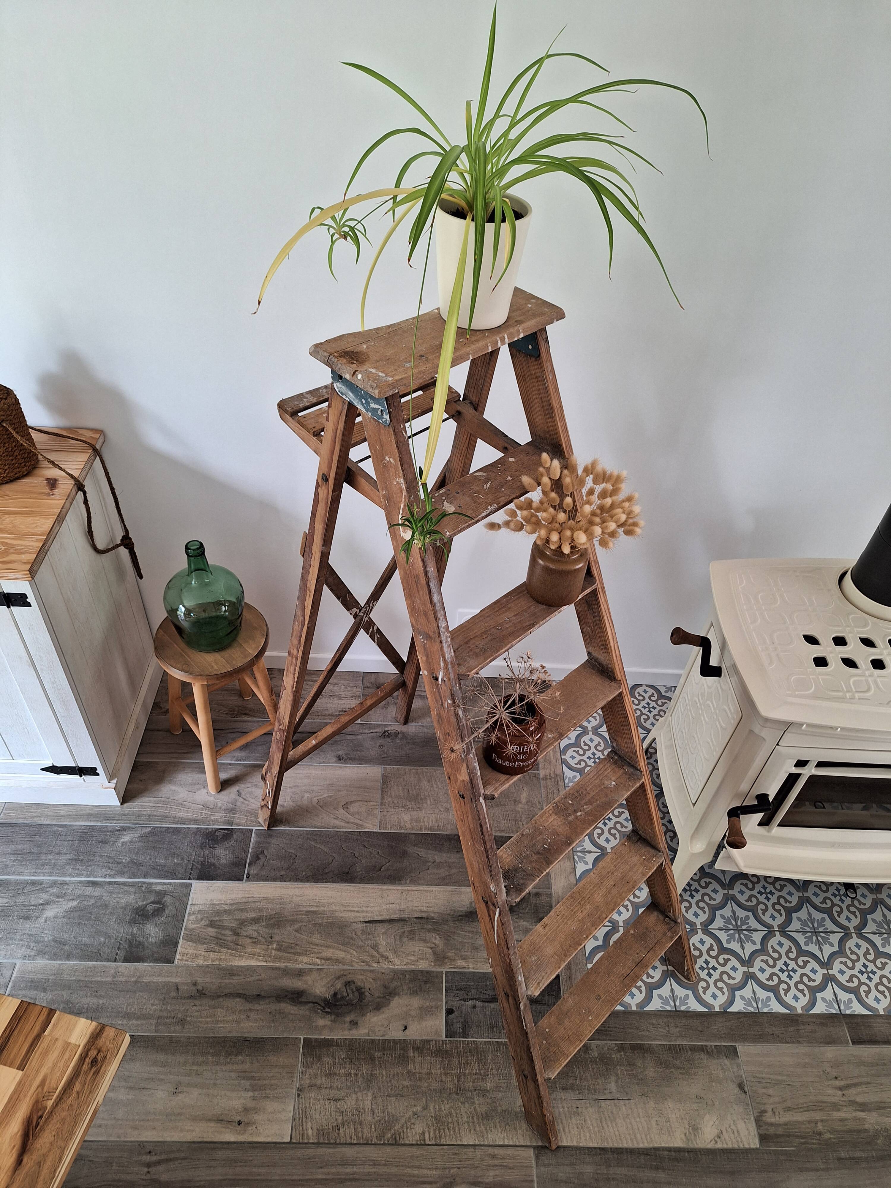 Montana painter's stepladder