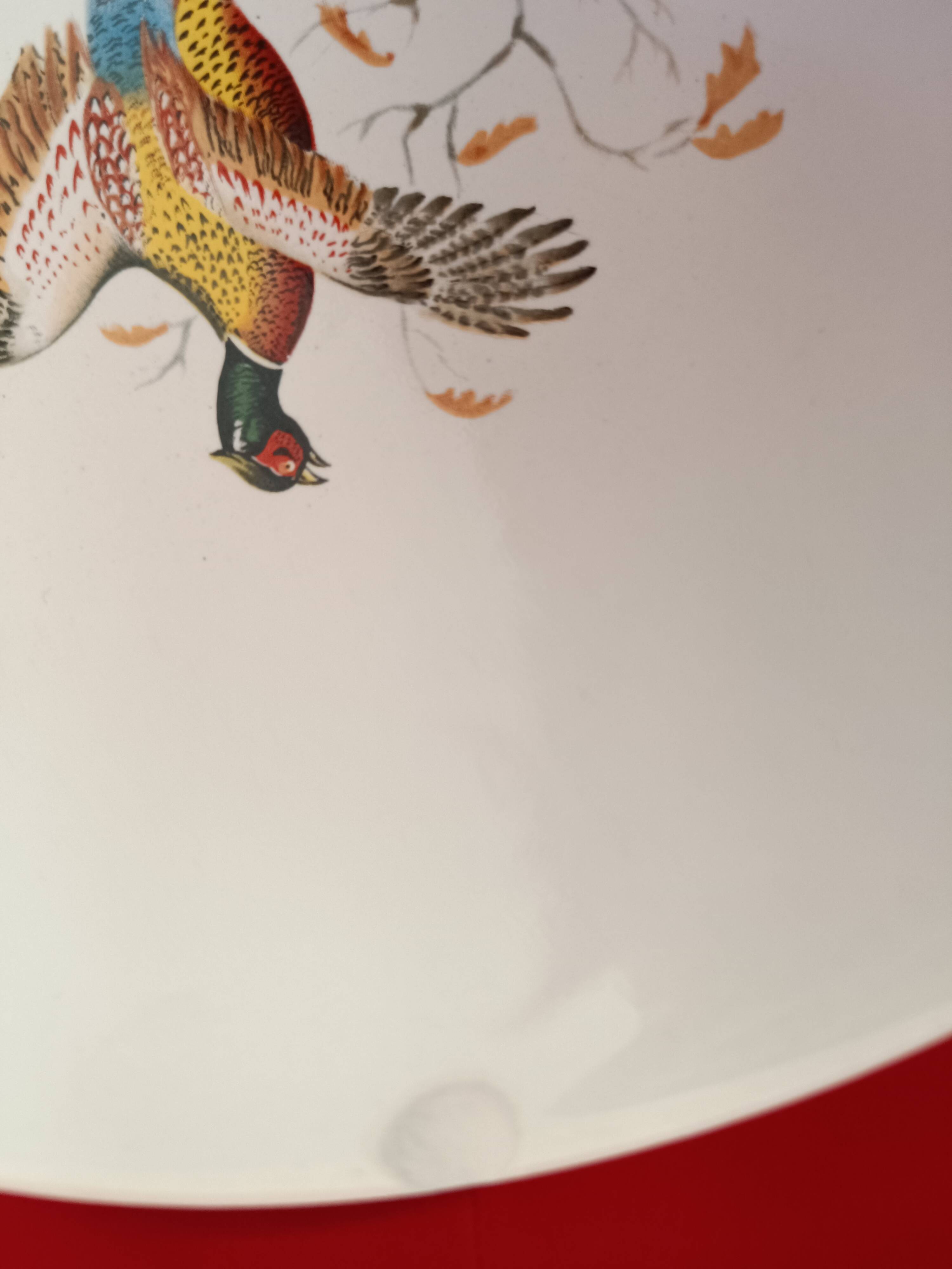 6 Villeroy and Boch dinner plates. Bird pattern.