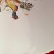 6 Villeroy and Boch dinner plates. Bird pattern.