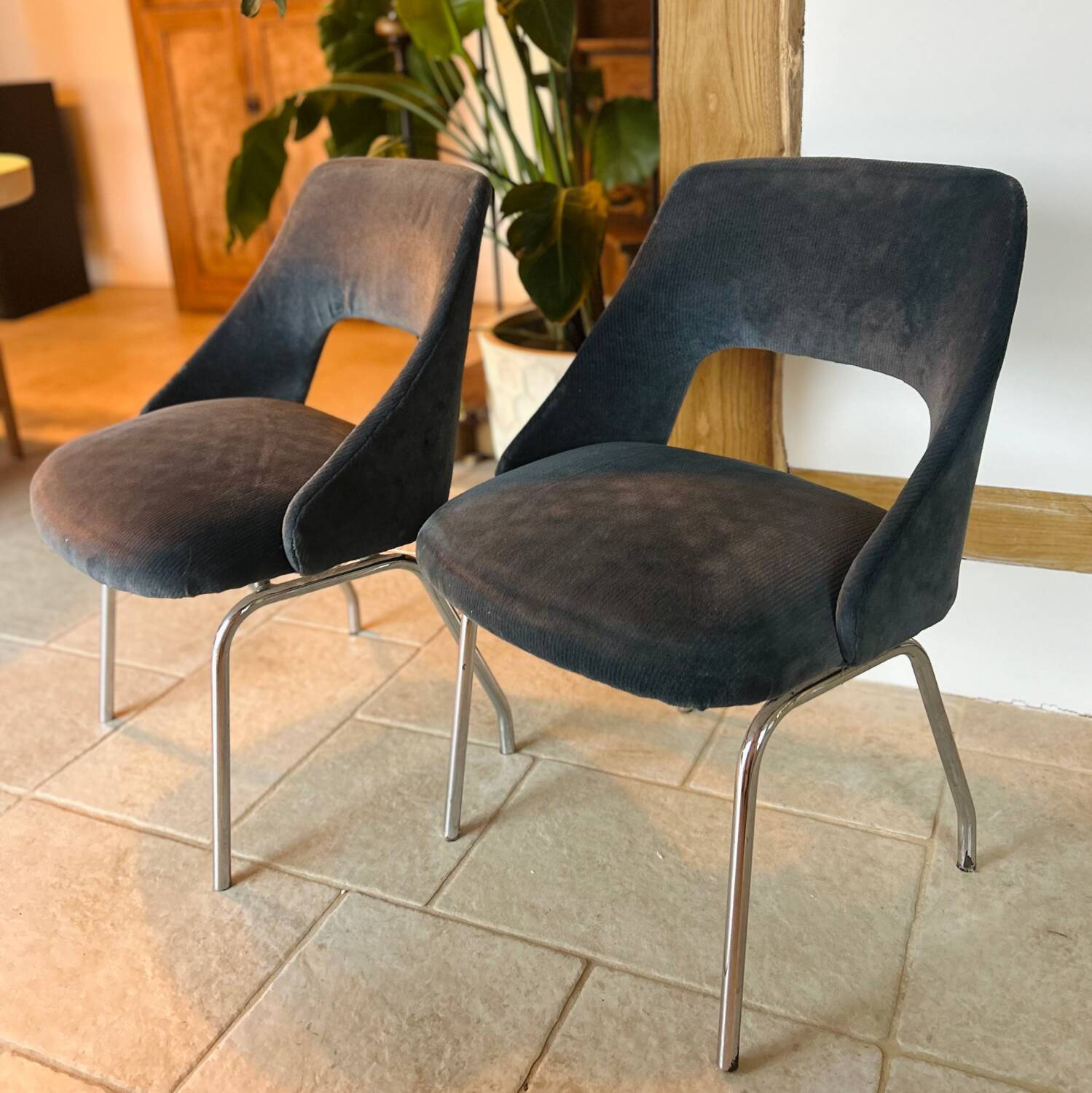 Chaises conférence velours bleu
