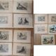 Suite de 11lLithographies ornithologiques XIXème - Races de Pigeons