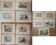 Suite de 11lLithographies ornithologiques XIXème - Races de Pigeons