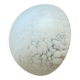 Clichy white glass wall-mounted ceiling light