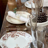 6 old plates in iron earth.