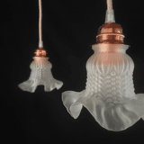 Glass tulip pendant light