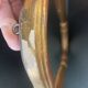 Miroir bois doré et stuc, quelques sauts