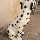 Glazed ceramic statue of a Dalmatian dog – Italy, circa 1970