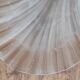 Art Deco/Art Nouveau shell and bronze wall lamp