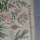 1978 botanical vintage poster