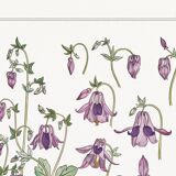 Affiche “Ancolie – Columbine”, d’après une lithographie art nouveau de 1897