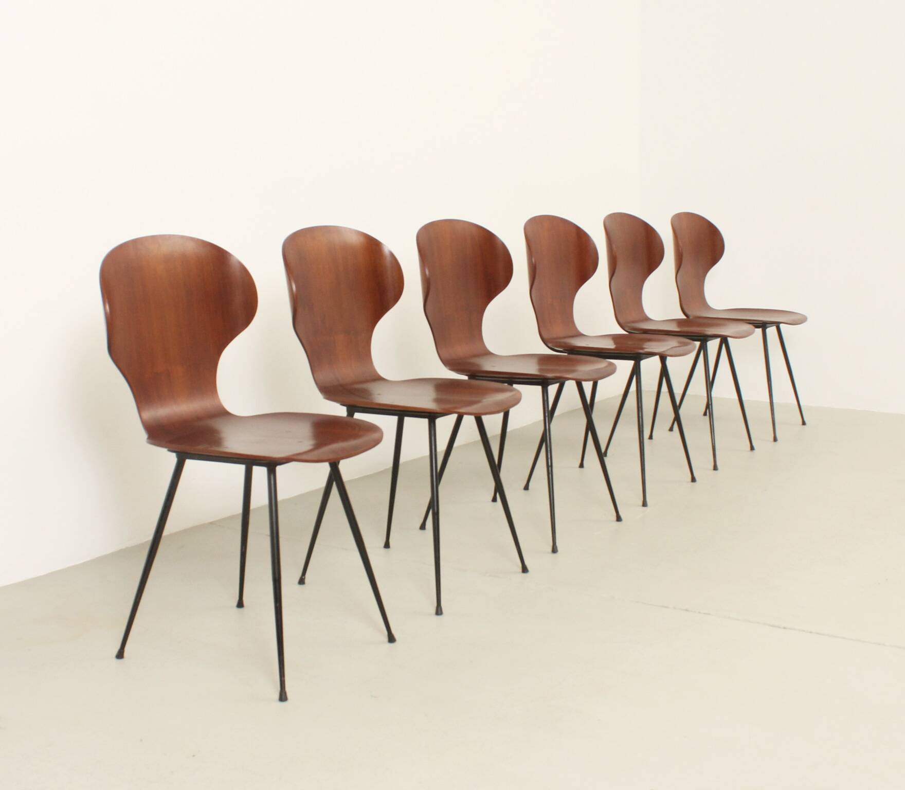 Six plywood chairs by Carlo Ratti, Italy, 1950s.