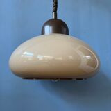 Mushroom suspension by Dijkstra