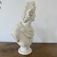 Plaster bust "apollo" 52cm. early 20th century