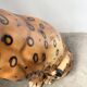 XL Italian ceramic leopard sculpture statue 1970