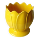 Water lily shaped earthenware pot