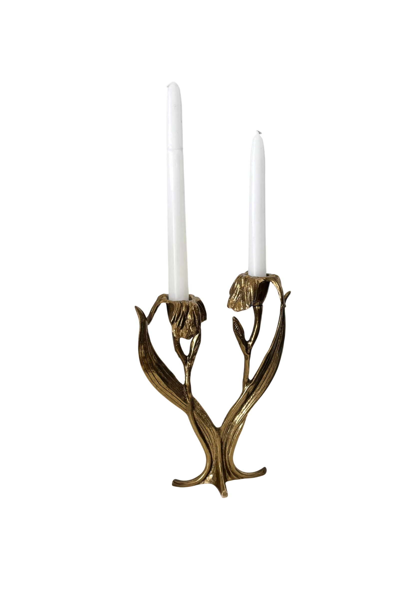 Art Nouveau Chandelier Antonella Saviato
