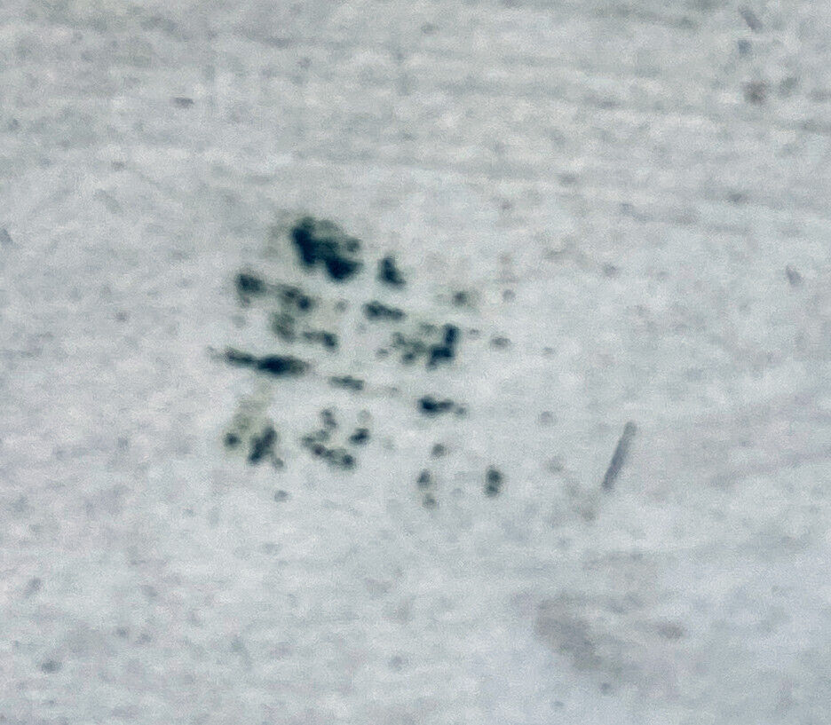 Painting HSCéramique "Nue sur la vague" signed M. Damon 1918 + frame