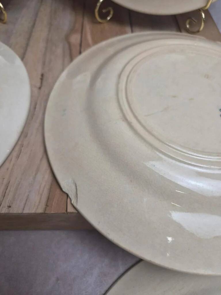 Set of 6 antique flat plates Gien – Terre de Fer – Bengal model