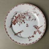 "Carmen" - 5 flat plates ø 23.5cm ironstone Sarreguemines U&C