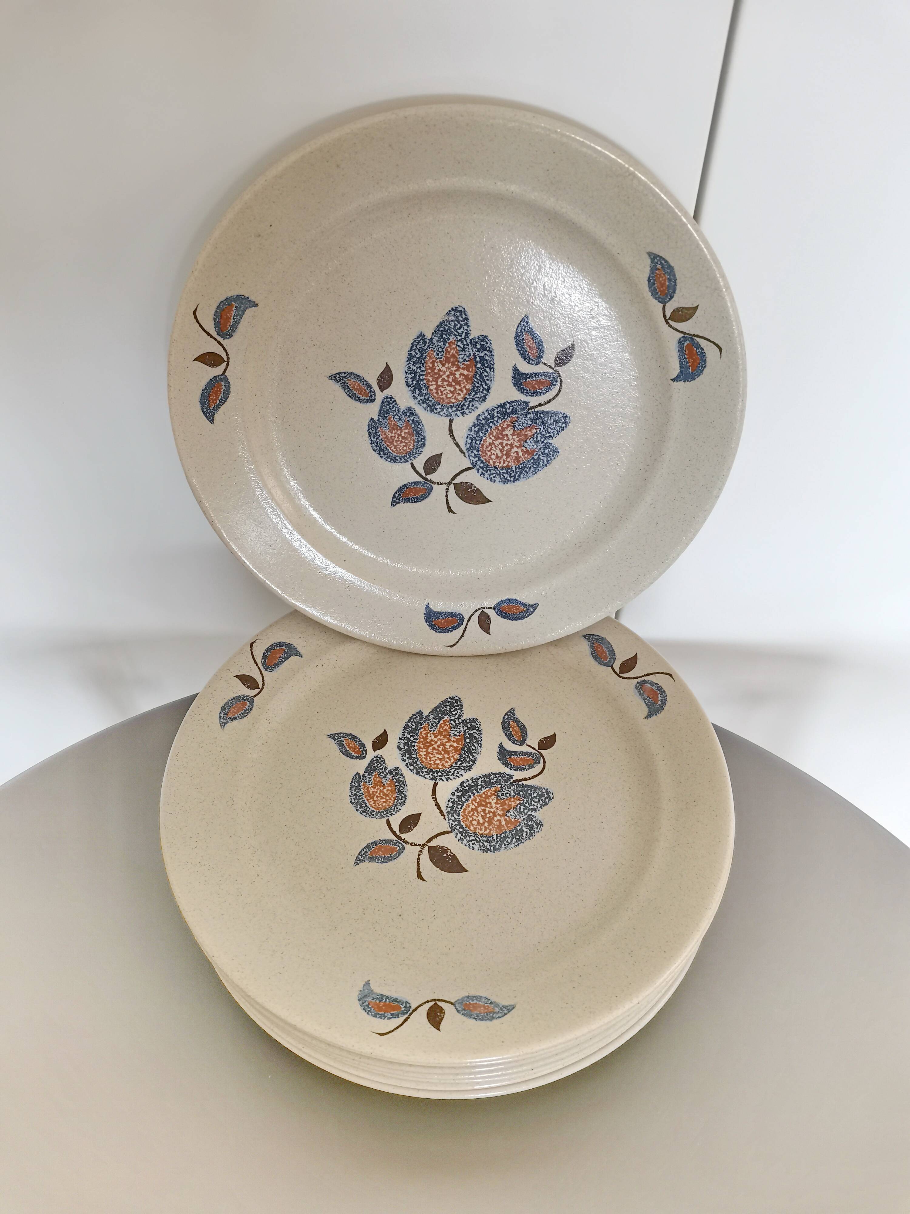 20 plates + 1 faience de saint amand dish sologne collection