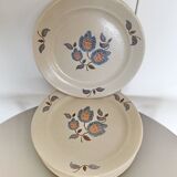 20 assiettes + 1 plat faience de saint amand collection sologne