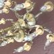 Antique chandelier in bronze and brass – 80 cm – multi-light – electricity
