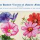Poster featuring bindweed, cosmos, dahlia and datura