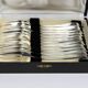 Christofle – 12 dessert forks, Spatours pattern with antique case