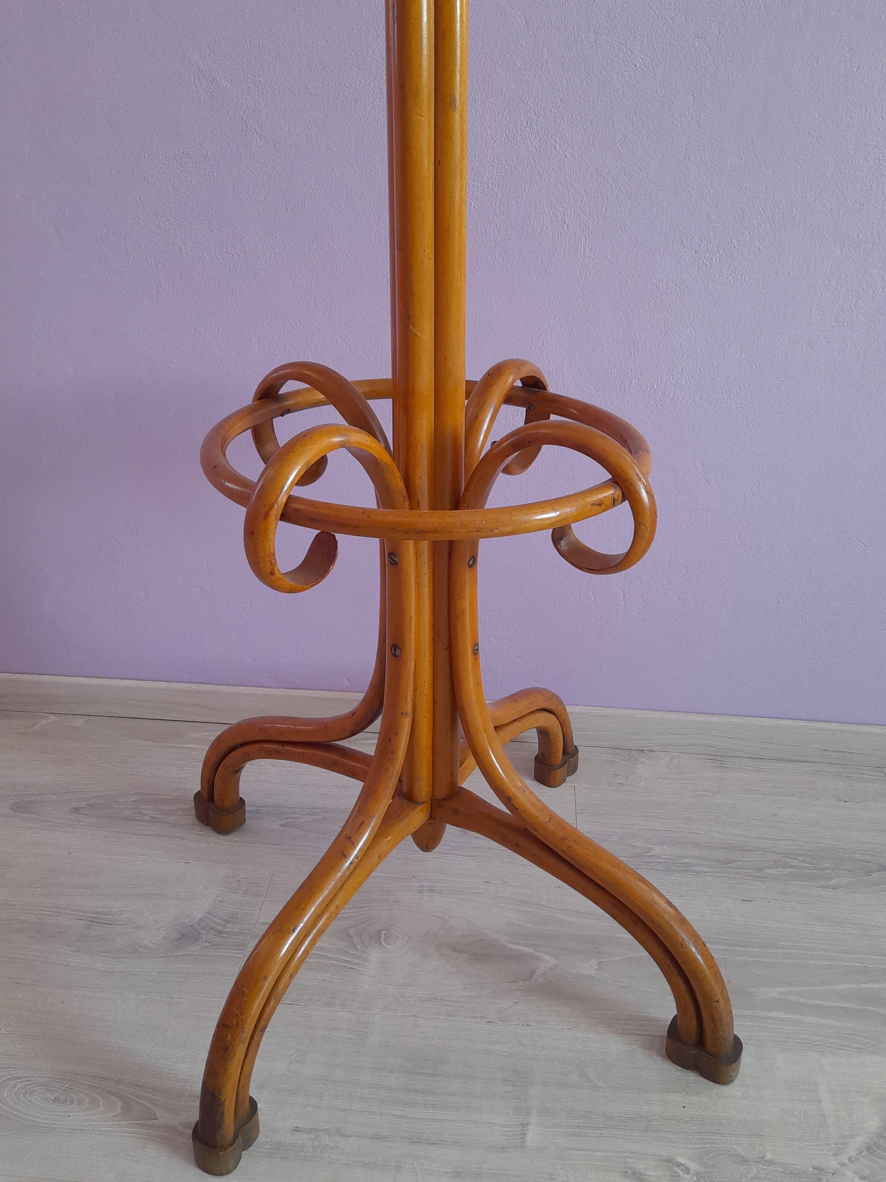 Coat rack called parrot