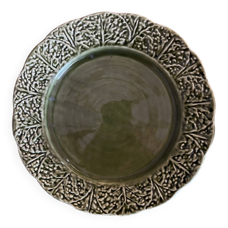 Service Plate Olfaire Cabbage