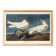 Poster about the Ivory Seagull, after an old engraving from 1827.